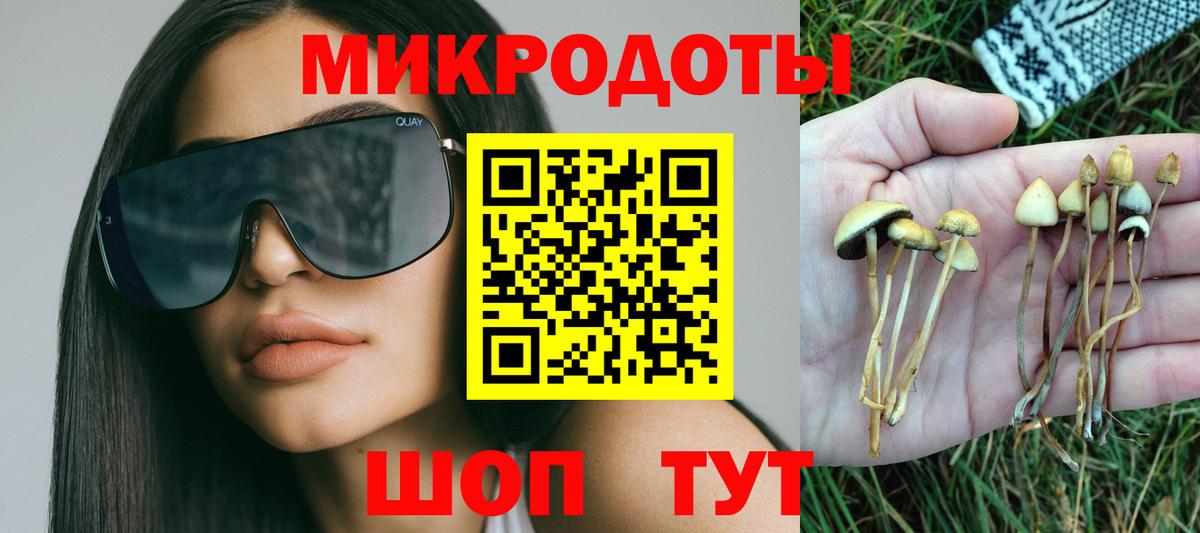 Галлюциногенные грибы ЛСД  Галлюциногенные грибы Psilocybine cubensis  Междуреченск  Вход с VPN 