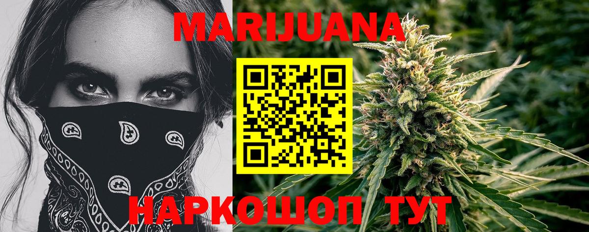 Междуреченск  Бошки Шишки планчик  Марихуана планчик  Вход с VPN 
